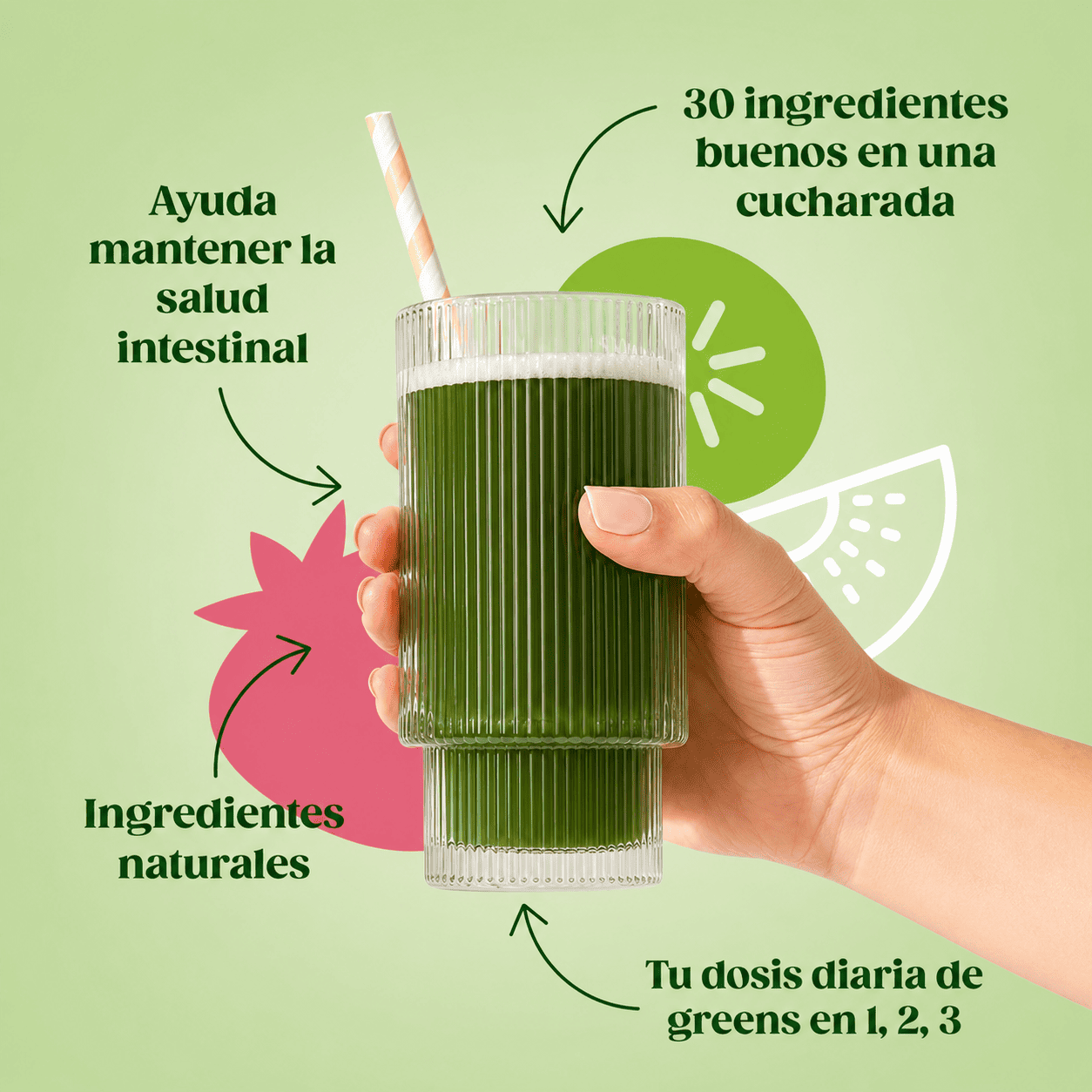 Bloom | Suplemento Digestivo